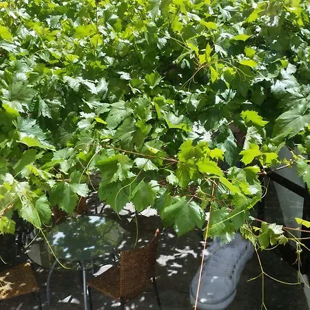 Летний дом Rural Self Check In 24h Вилафлор