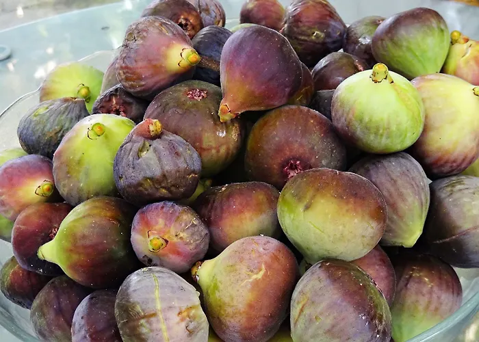 Rural Self Check In 24h Venkovský dům