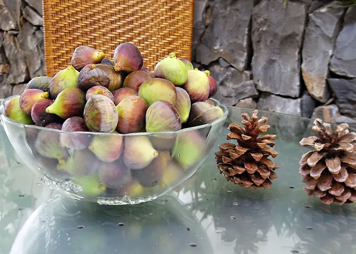 Rural Self Check In 24h Landsted *