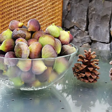 Rural Self Check In 24h Séjour à la campagne *