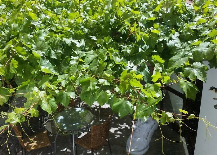 Casa di campagna Rural Self Check In 24h Vilaflor de Chasna